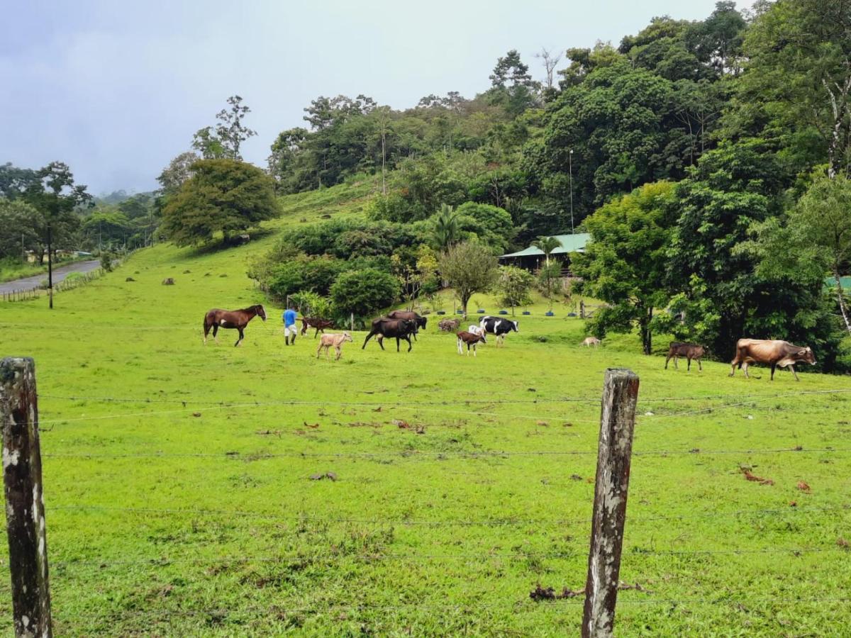 Cabanas Montanas Del Tenorio Rio Celeste 外观 照片